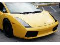 2004 Gallardo Coupe #9