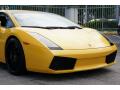 2004 Gallardo Coupe #14