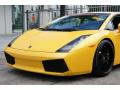 2004 Gallardo Coupe #19