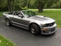 2006 Ford Mustang Tungsten Grey Metallic #2 2006 Ford Mustang Tungsten Grey Metallic #2