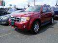 2008 Escape XLT V6 4WD #3 2008 Escape XLT V6 4WD #3