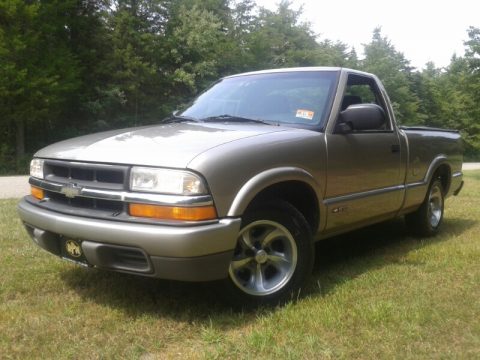 Light Pewter Metallic Chevrolet S10 LS Regular Cab.  Click to enlarge.