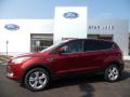 2016 Escape SE 4WD #1
