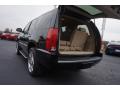 2013 Escalade Luxury #16