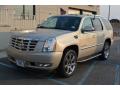 2007 Escalade AWD #7