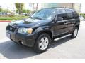 2007 Escape XLT V6 #2