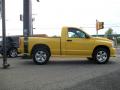 2005 Ram 1500 SLT Rumble Bee Regular Cab 4x4 #7