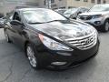 2013 Sonata SE #8