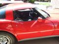 1980 Corvette Coupe #9