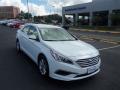 2016 Sonata SE #1