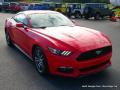 2015 Mustang EcoBoost Coupe #7