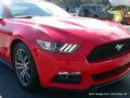2015 Mustang EcoBoost Coupe #31
