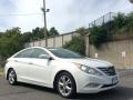 2013 Sonata Limited #3