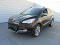Front 3/4 View of 2016 Ford Escape SE #7