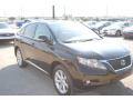 2010 RX 350 #7 2010 RX 350 #7