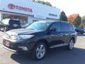 2013 Highlander Limited 4WD #1