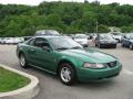 2001 Mustang V6 Coupe #5