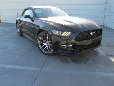 Shadow Black Ford Mustang EcoBoost Premium Convertible.  Click to enlarge.