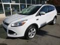 2013 Escape SE 1.6L EcoBoost 4WD #8