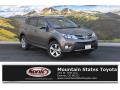 2015 RAV4 XLE #1