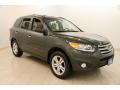 2012 Santa Fe Limited V6 AWD #1 2012 Santa Fe Limited V6 AWD #1