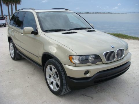Pearl Beige Metallic BMW X5 4.4i. Click to enlarge. Pearl Beige Metallic BMW X5 4.4i. Click to enlarge.