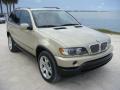Front 3/4 View of 2002 BMW X5 4.4i #1 Front 3/4 View of 2002 BMW X5 4.4i #1