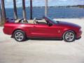 2006 Mustang V6 Premium Convertible #8