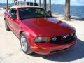 2006 Mustang V6 Premium Convertible #22