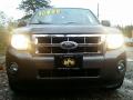 2010 Escape XLT V6 #2 2010 Escape XLT V6 #2
