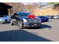 2013 XTS W20 Livery Package #1 2013 XTS W20 Livery Package #1