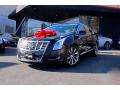 2013 XTS W20 Livery Package #3 2013 XTS W20 Livery Package #3