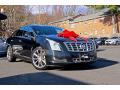 2013 XTS W20 Livery Package #11 2013 XTS W20 Livery Package #11