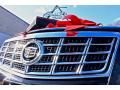 2013 XTS W20 Livery Package #14 2013 XTS W20 Livery Package #14