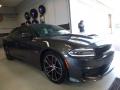 2016 Charger R/T Scat Pack #10 2016 Charger R/T Scat Pack #10