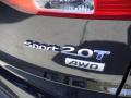 2013 Santa Fe Sport 2.0T AWD #10
