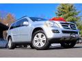 2008 GL 450 4Matic #12 2008 GL 450 4Matic #12
