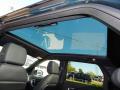 Sunroof of 2016 Land Rover Discovery Sport HSE Luxury 4WD #17