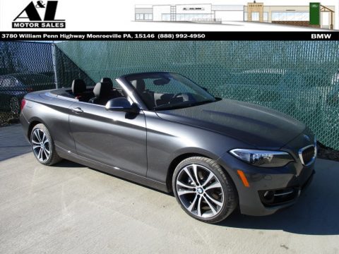 Mineral Grey Metallic BMW 2 Series 228i xDrive Convertible.  Click to enlarge.