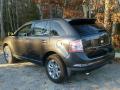 2007 Edge SEL Plus AWD #6