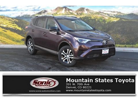 Black Currant Metallic Toyota RAV4 LE AWD. Click to enlarge. Black Currant Metallic Toyota RAV4 LE AWD. Click to enlarge.