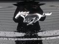 2016 Ford Mustang Logo #14 2016 Ford Mustang Logo #14