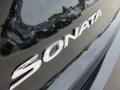 2016 Sonata Limited #5