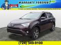 2016 RAV4 XLE AWD #1