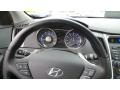 2013 Sonata SE #16 2013 Sonata SE #16