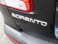2011 Sorento EX AWD #6