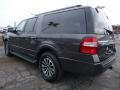  2016 Ford Expedition Magnetic Metallic #5
