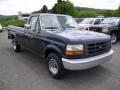 1993 F150 XL Regular Cab #7