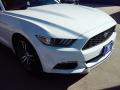 2016 Mustang EcoBoost Coupe #16