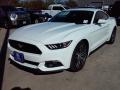 2016 Mustang EcoBoost Coupe #19